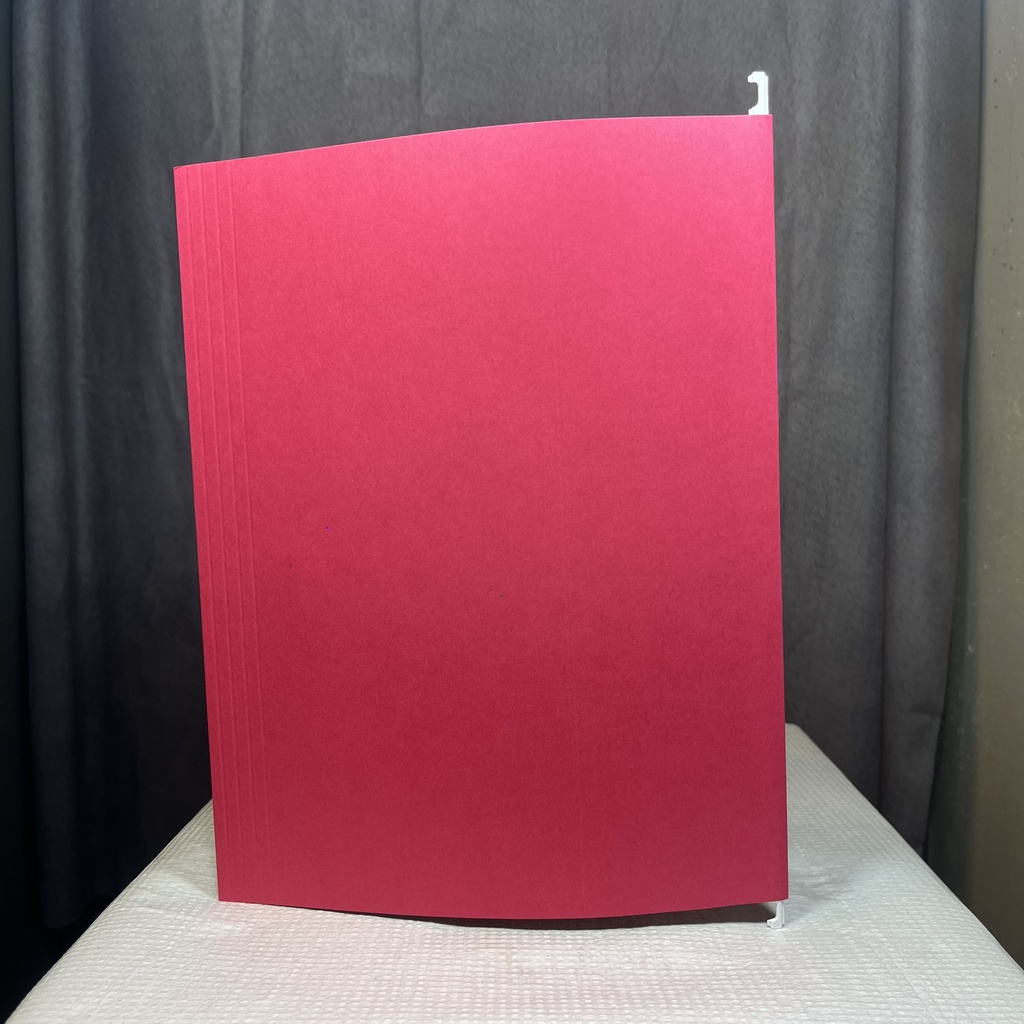 FOLDER, HANGING FILE RED