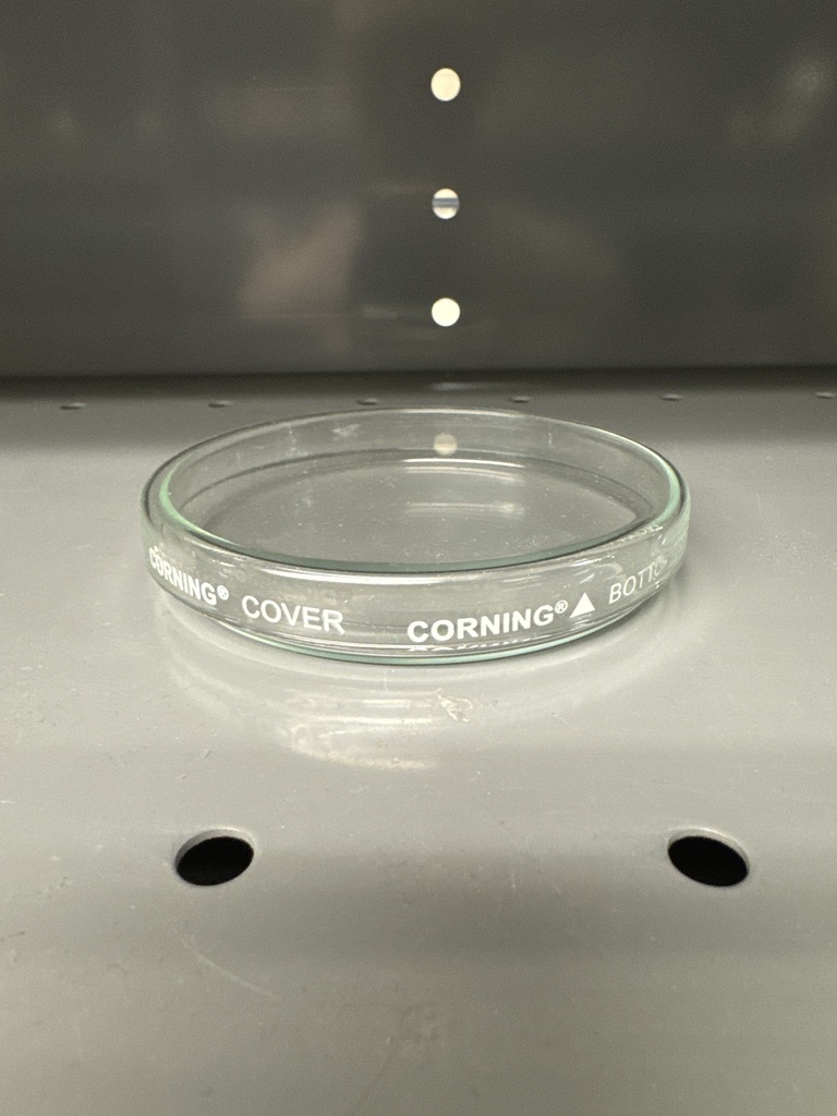 DISH, PETRI 100 MM X 15 MM GLA